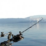Foto: Fischen Fischen