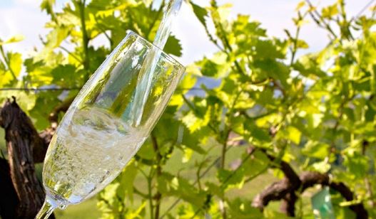 PROSECCOSTRASSE **** AUSGEBUCHT