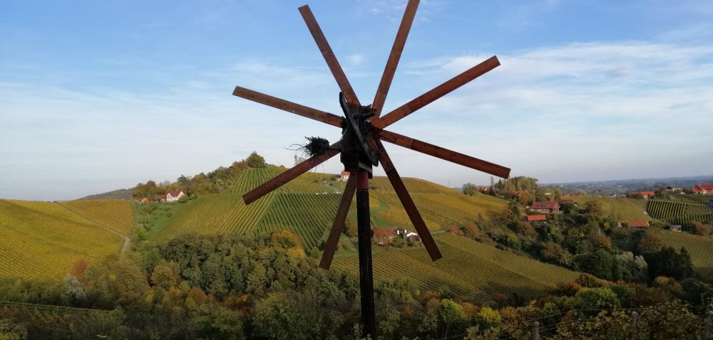 SÜDSTEIERMARK ****  (AUSGEBUCHT)