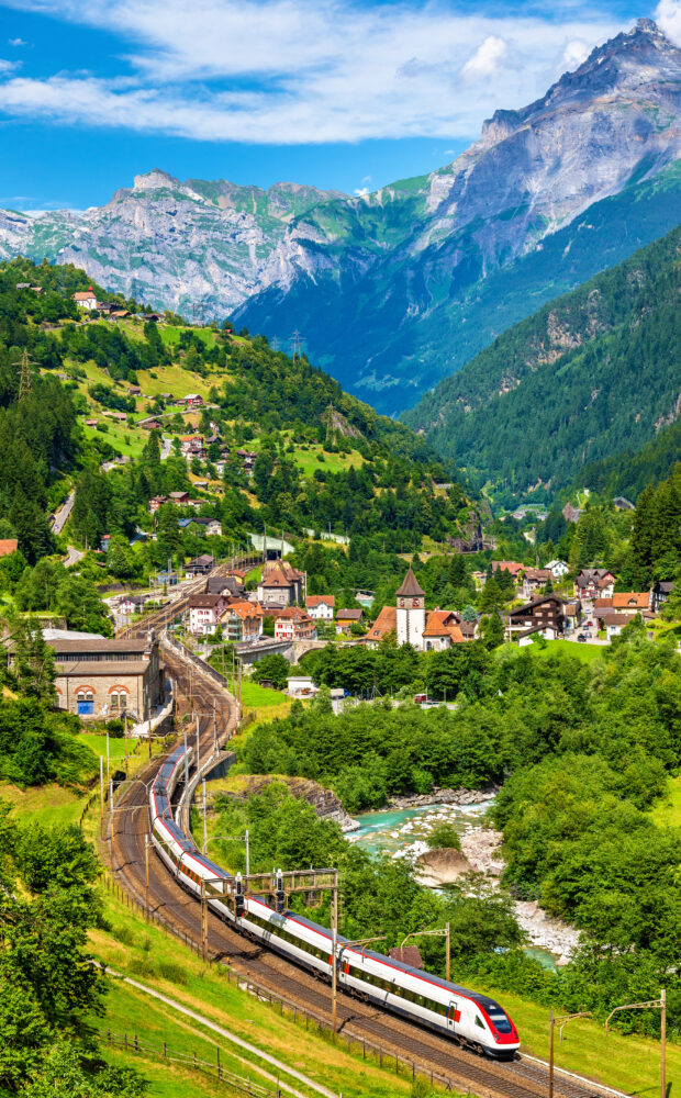 Schweiz  - Berge und Palmen****