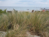 20180616_144441 (Mittel)