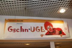 Gschnugl 2016