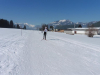 P1010248 (Mittel)