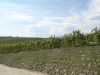 DSC05980-Mittel
